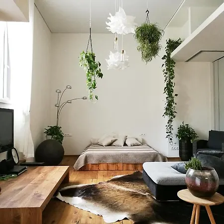 Daire Loft Del Talvera 1